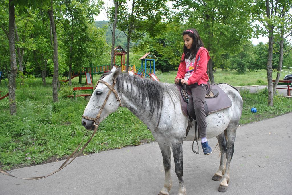 Talistan Forest Park Hotel Ngoại thất bức ảnh