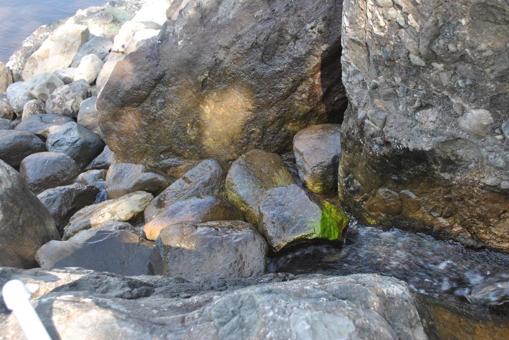 Talistan Forest Park Hotel Ngoại thất bức ảnh